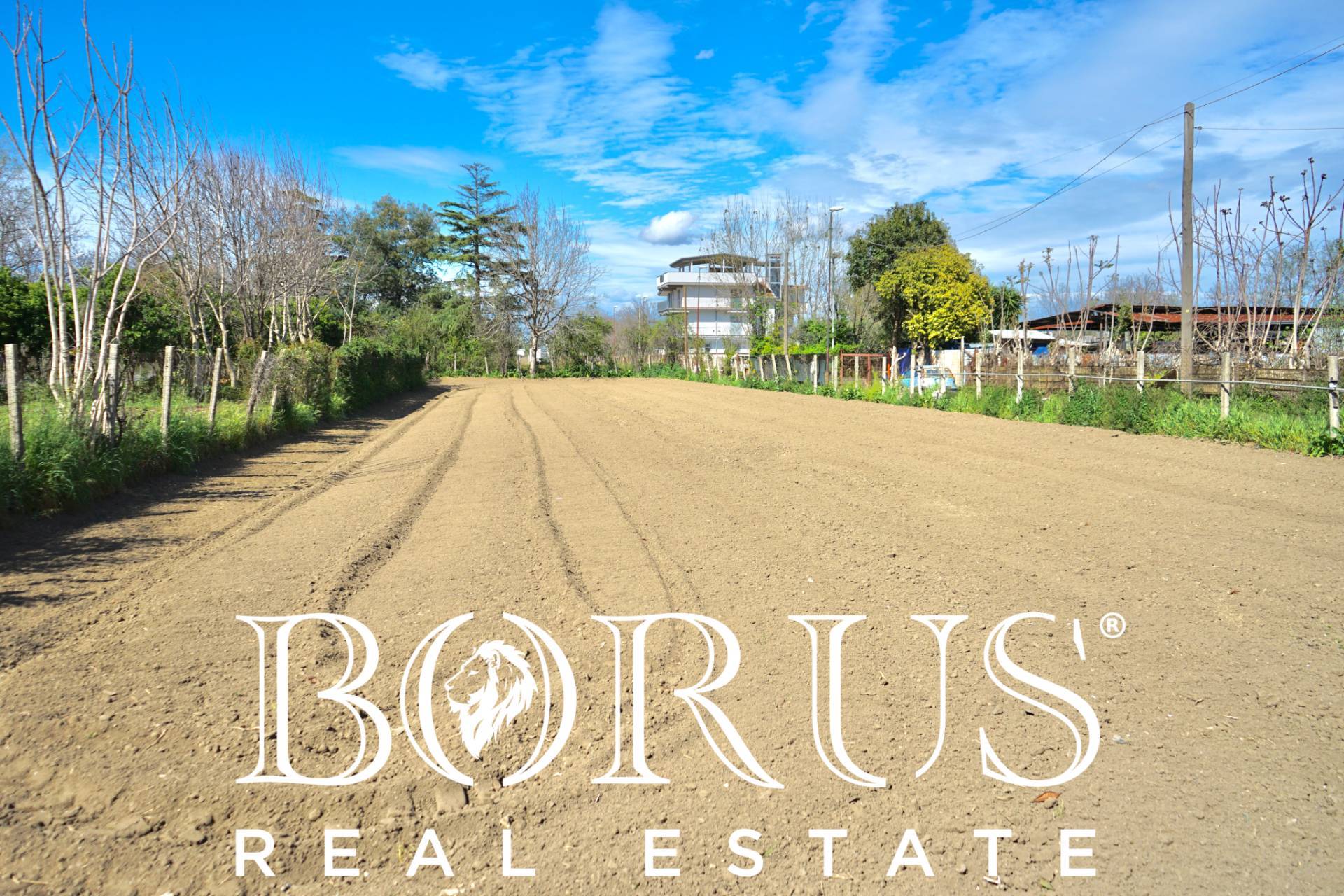 immagine annuncio 1 di 8