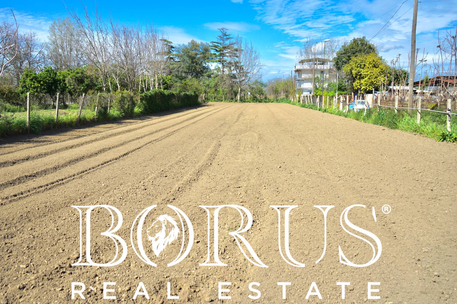 immagine annuncio 2 di 8