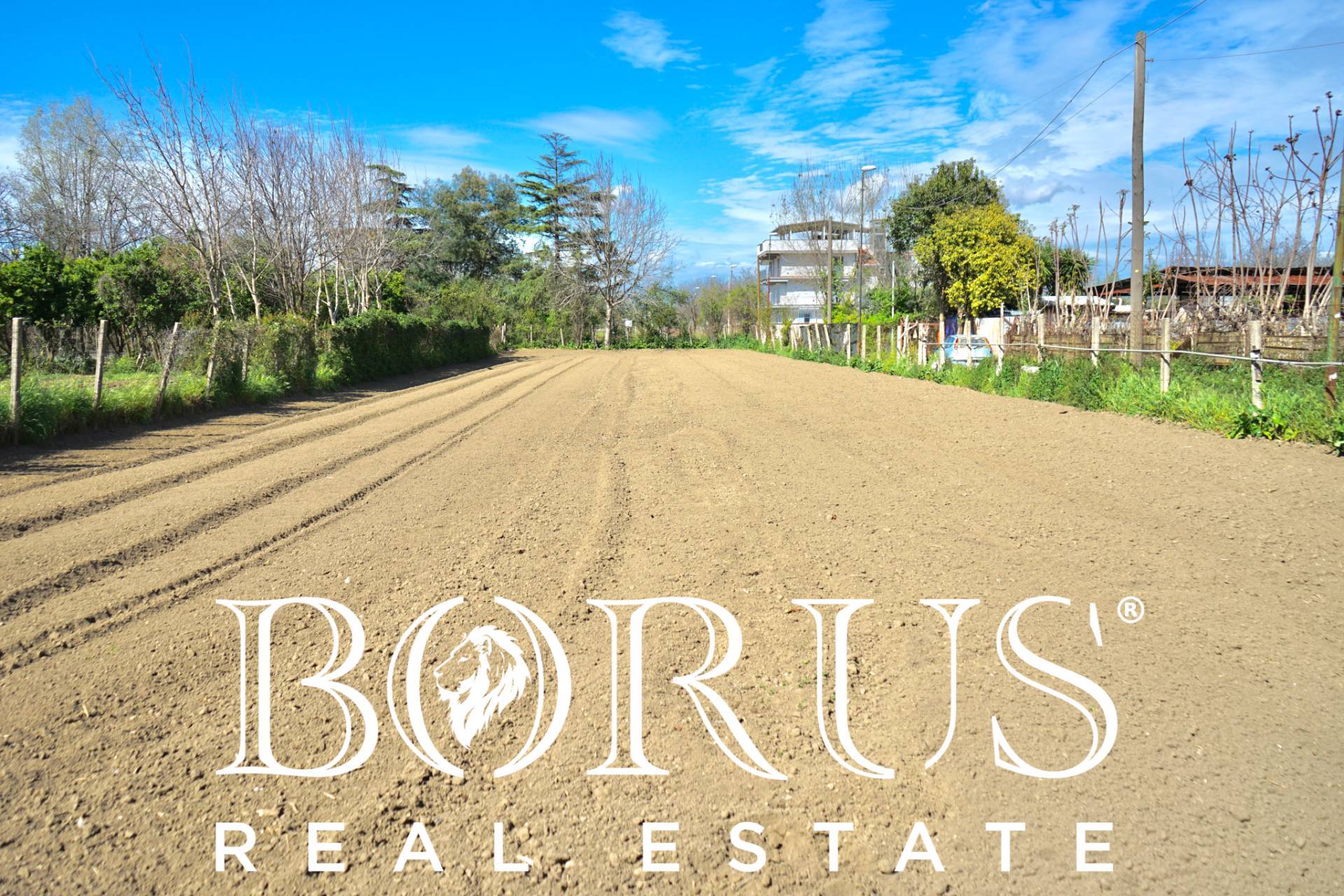 immagine annuncio 3 di 8