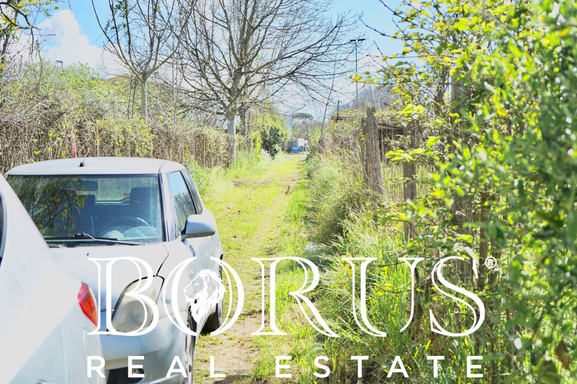 immagine annuncio 7 di 8