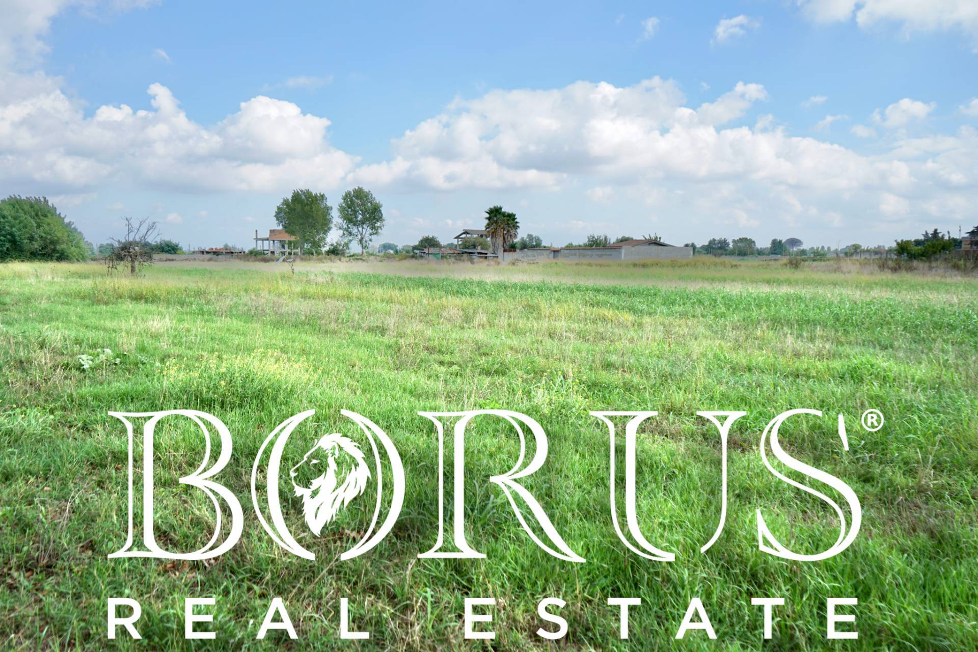 Terreno Agricolo in vendita a Casal di Principe