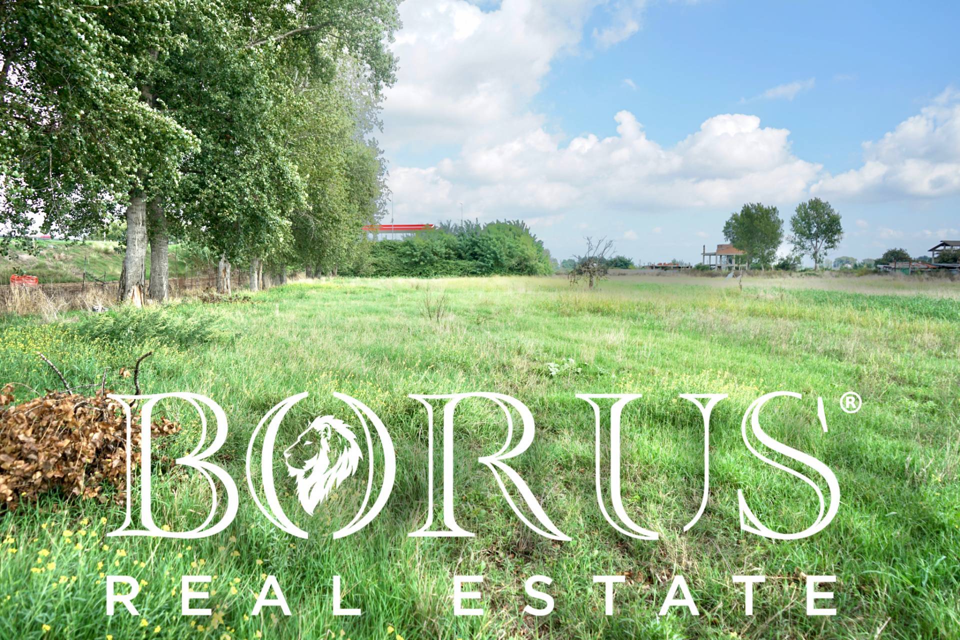 immagine annuncio 3 di 8