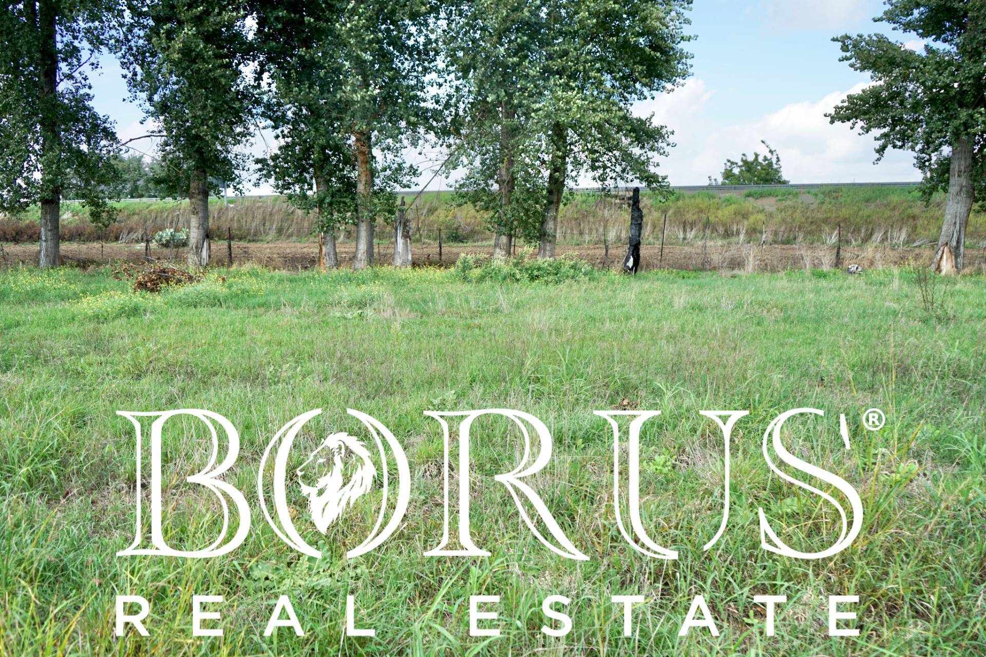 immagine annuncio 6 di 8