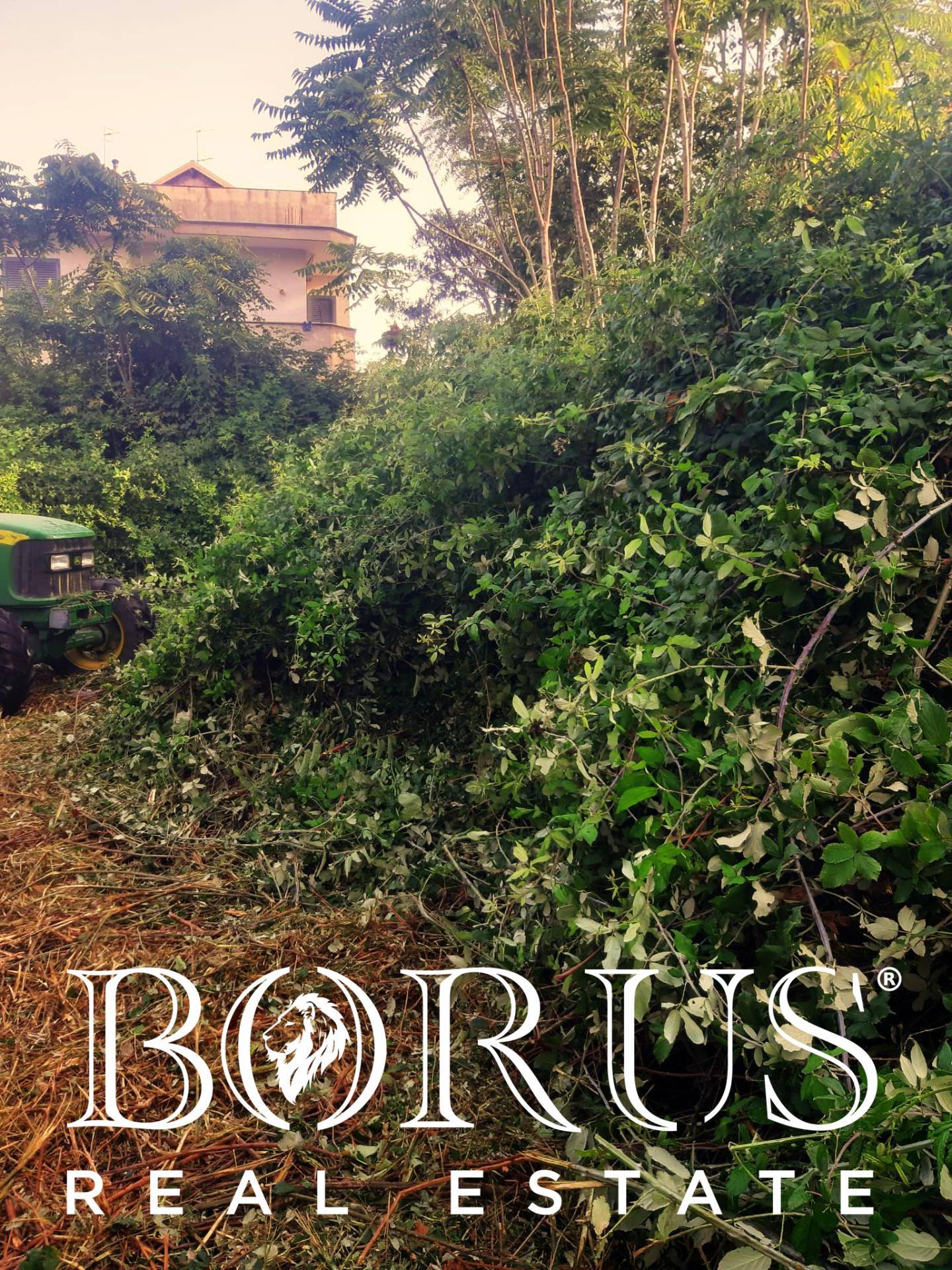 Terreno Agricolo in affitto a Giugliano in Campania