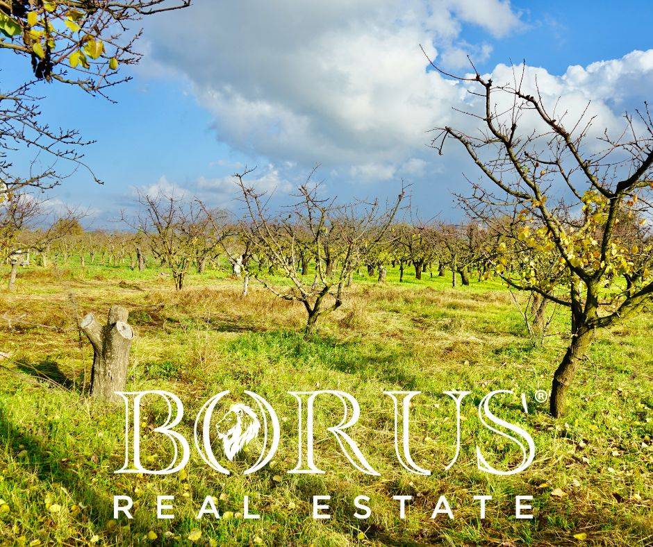 Terreno Agricolo in vendita a Teverola