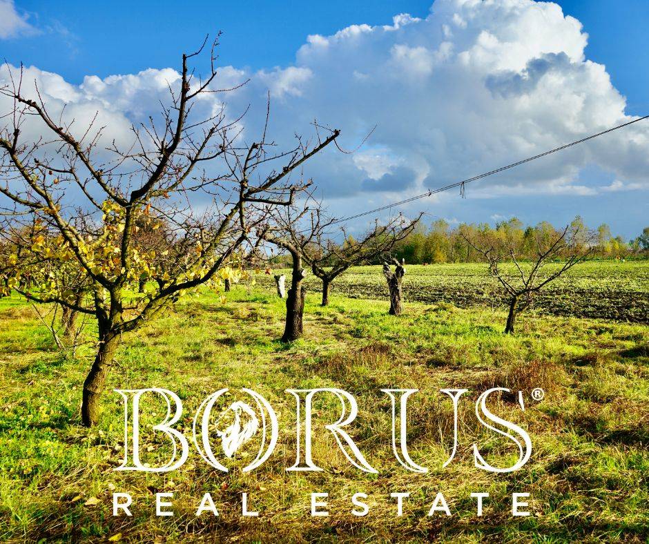 Terreno Agricolo in vendita a Teverola