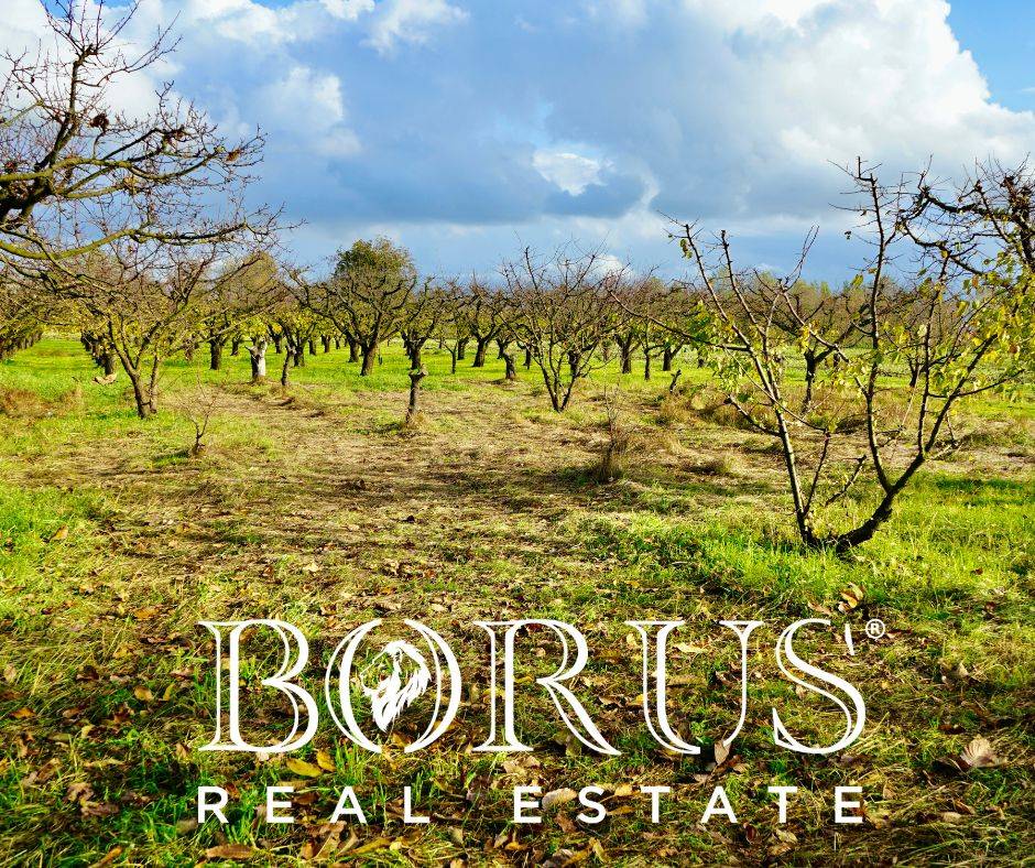 Terreno Agricolo in vendita a Teverola