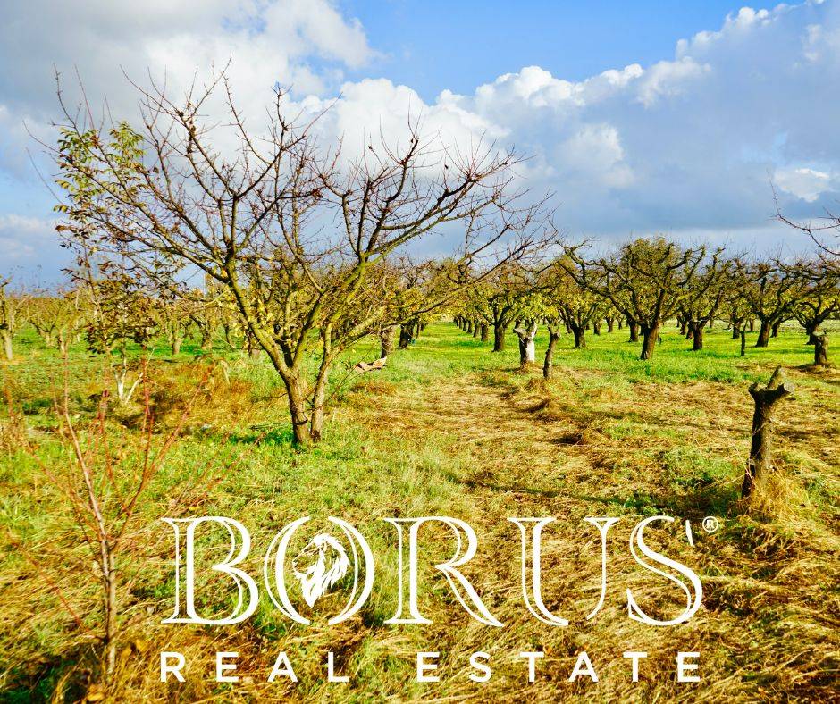 Terreno Agricolo in vendita a Teverola