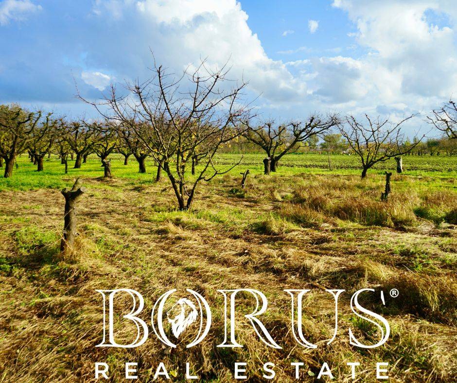 Terreno Agricolo in vendita a Teverola