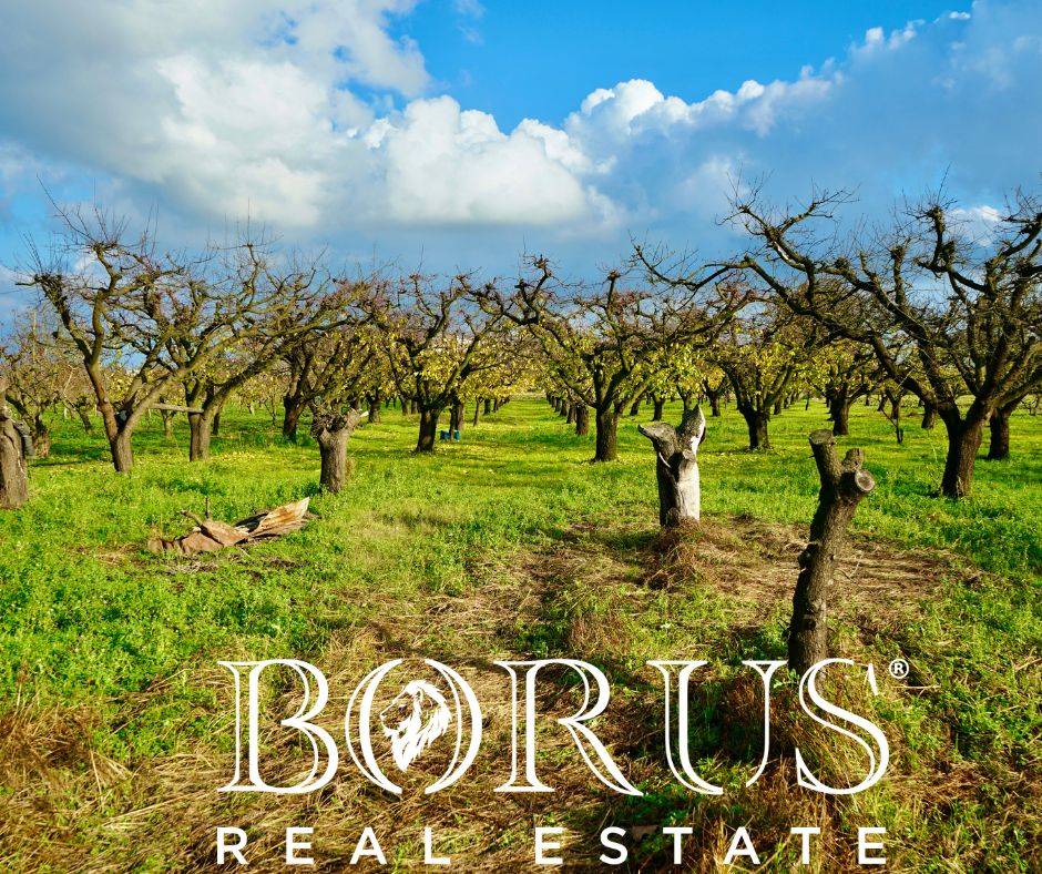 Terreno Agricolo in vendita a Teverola