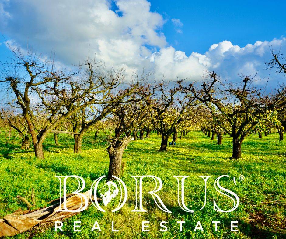 Terreno Agricolo in vendita a Teverola