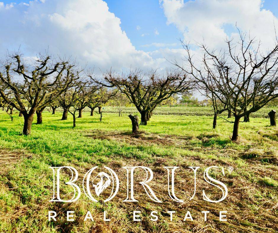 Terreno Agricolo in vendita a Teverola