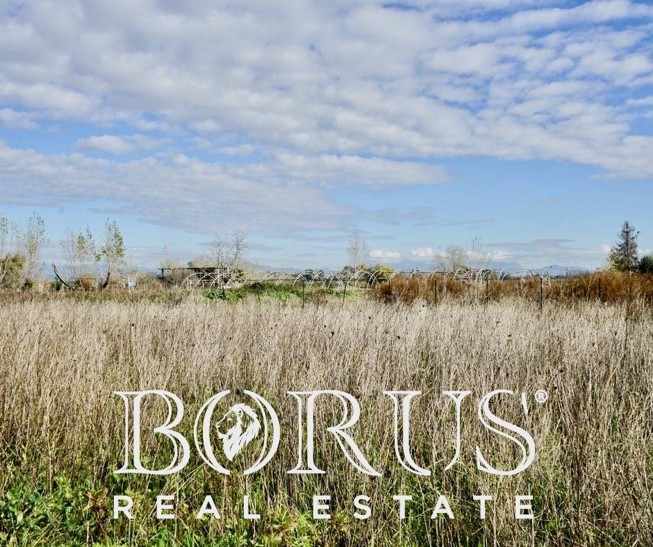 Terreno edificabile in vendita a Villa Literno