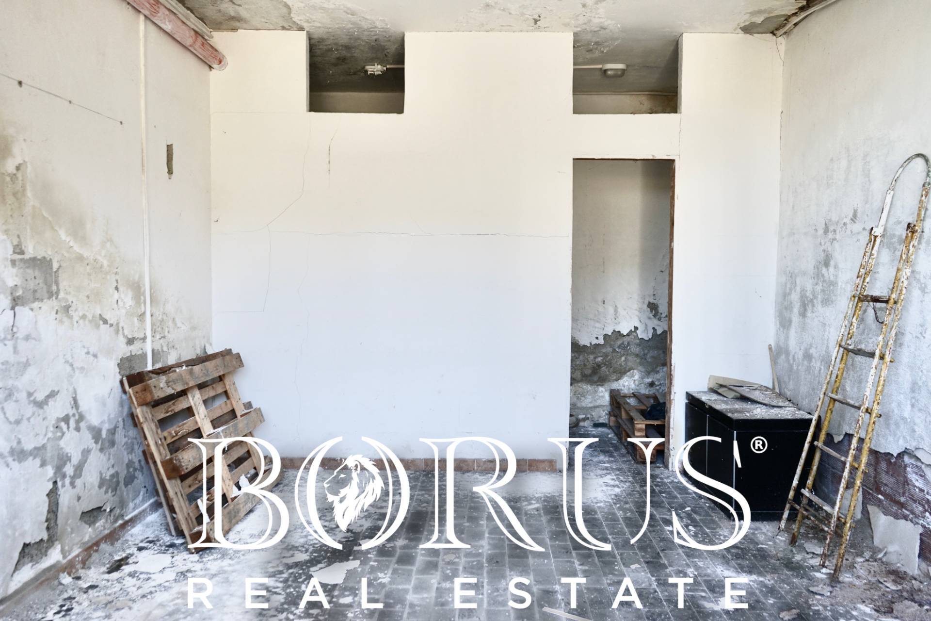 immagine annuncio 5 di 6