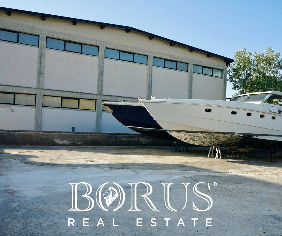 immagine annuncio 5 di 8