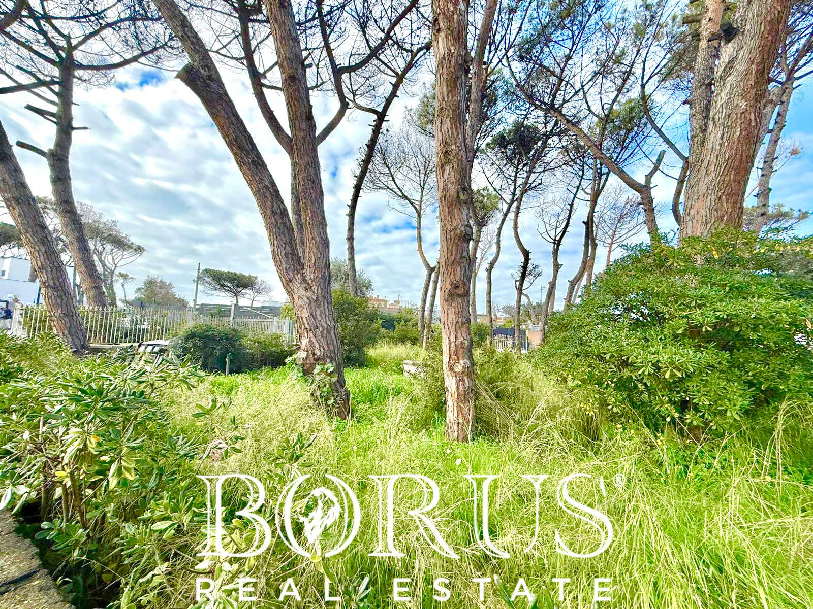 Casa singola in vendita a Cellole, Baia Domizia