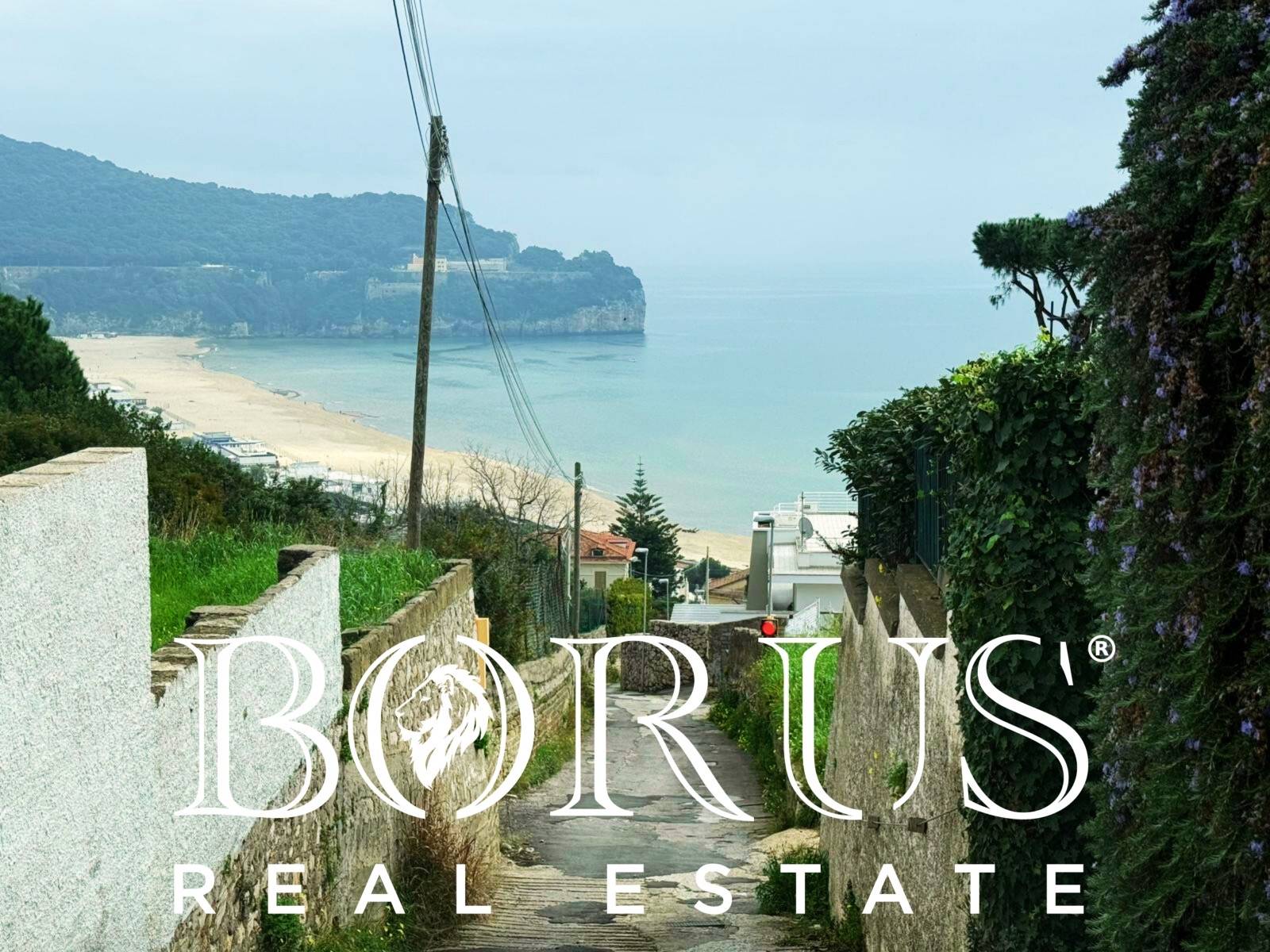 Attivit commerciale in vendita a Gaeta