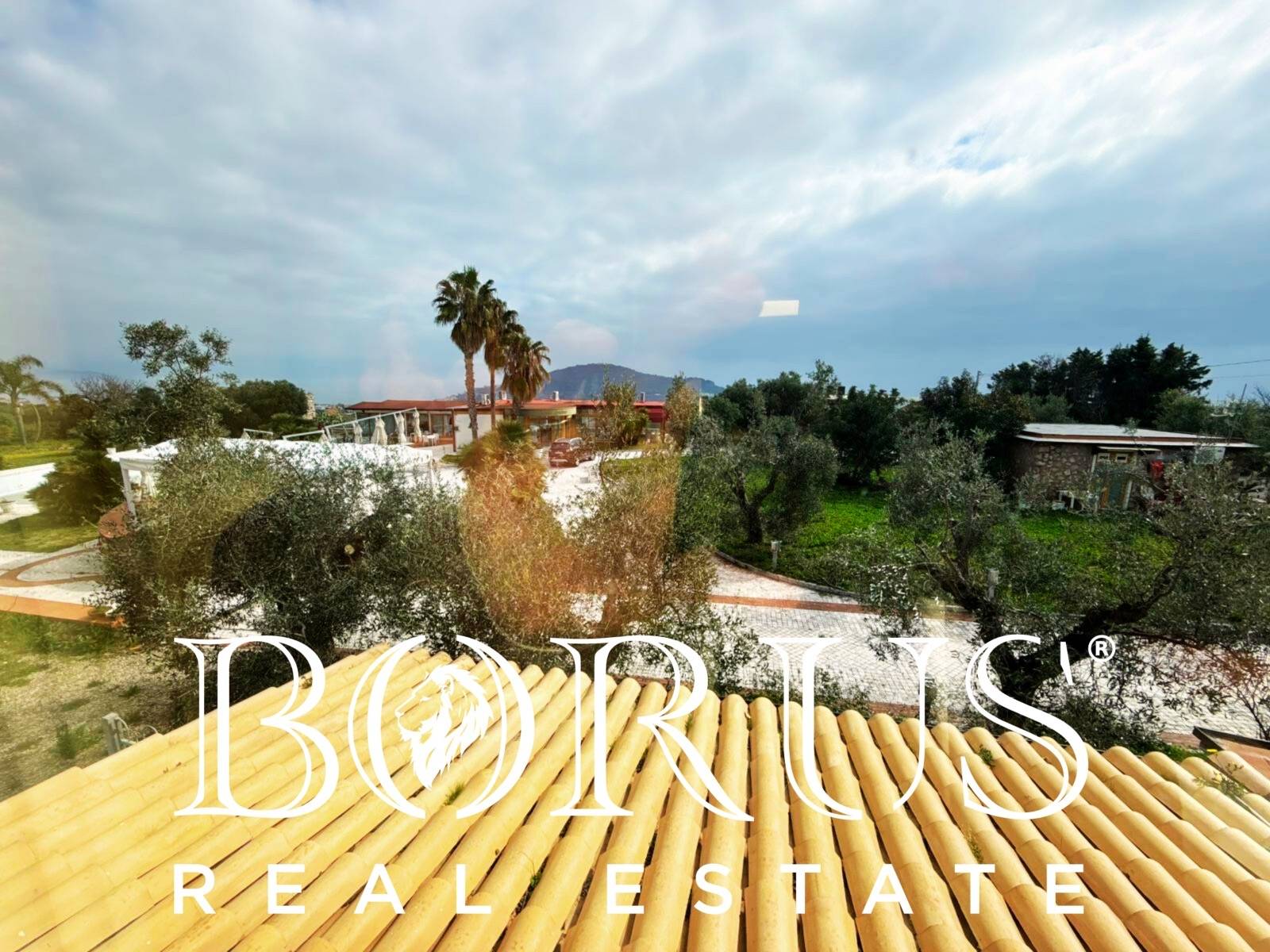 Attivit commerciale in vendita a Gaeta