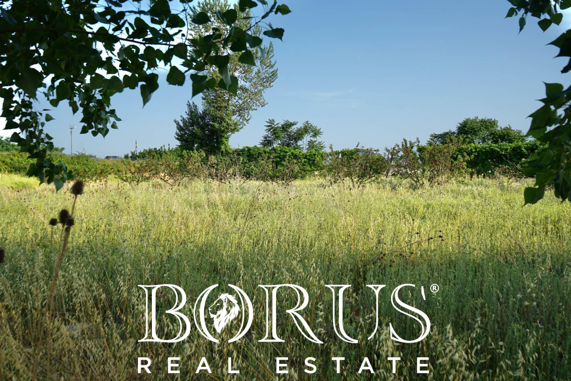 Terreno Agricolo in vendita a Frignano