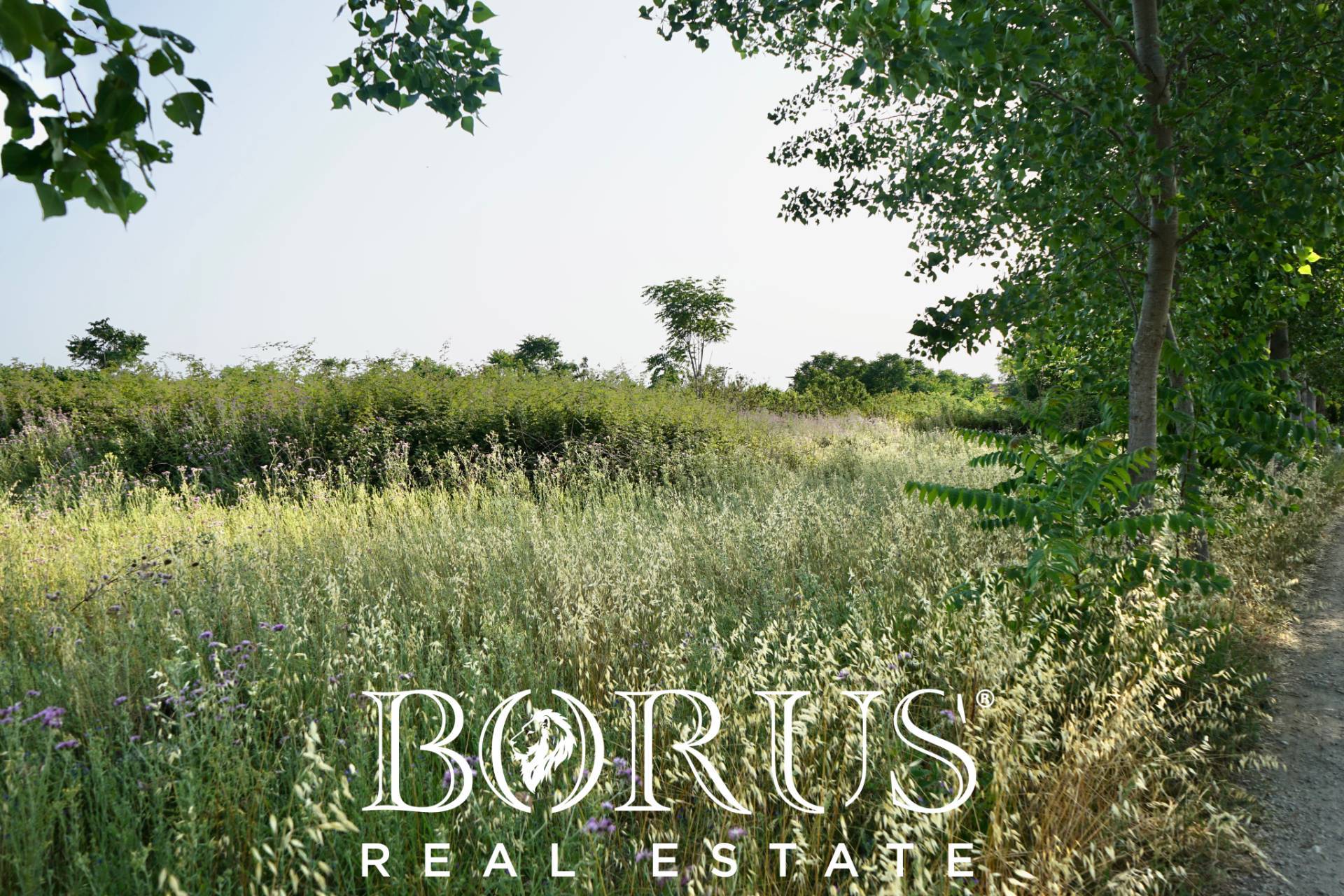 Terreno Agricolo in vendita a Frignano