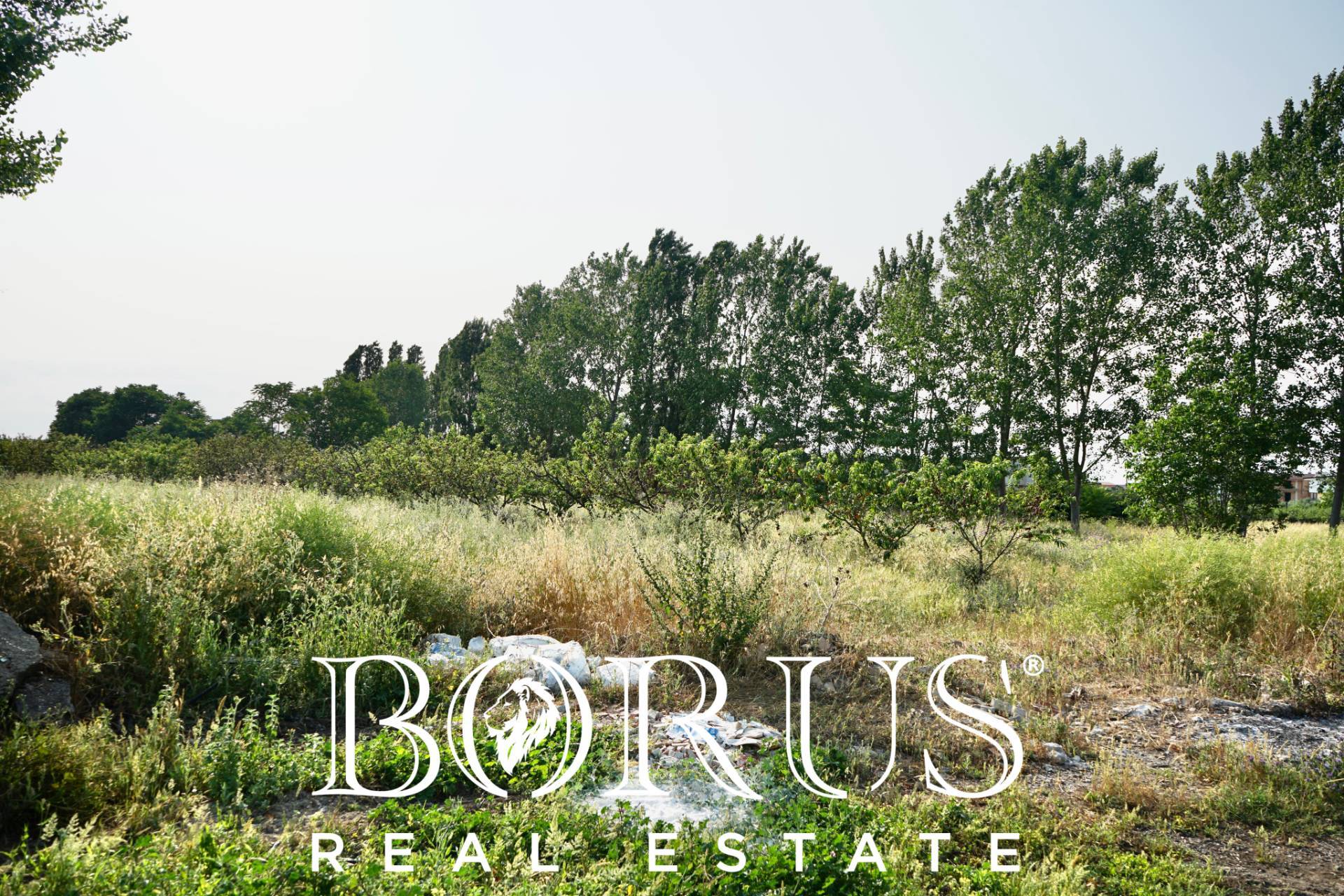 Terreno Agricolo in vendita a Frignano