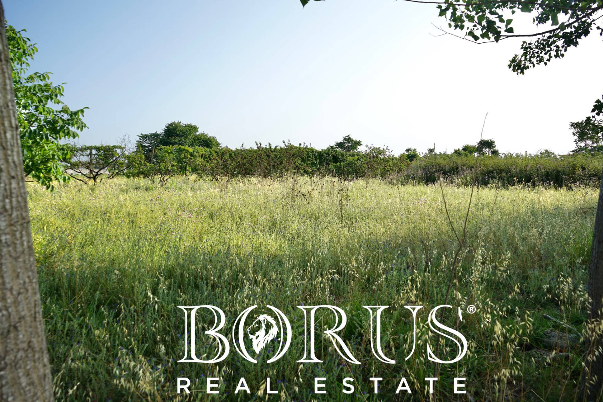 Terreno Agricolo in vendita a Frignano