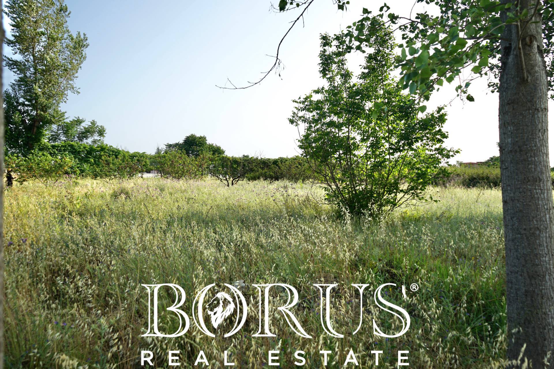 Terreno Agricolo in vendita a Frignano