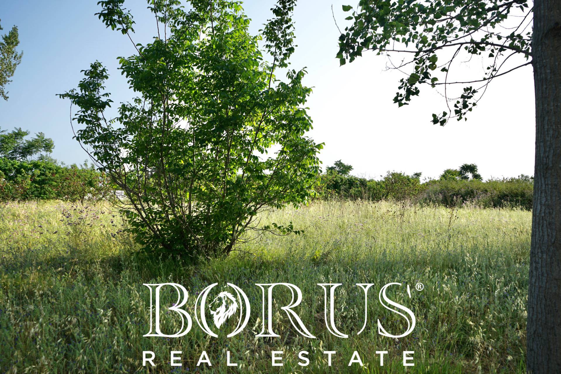 Terreno Agricolo in vendita a Frignano