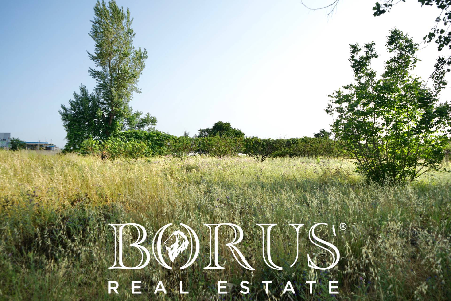 Terreno Agricolo in vendita a Frignano