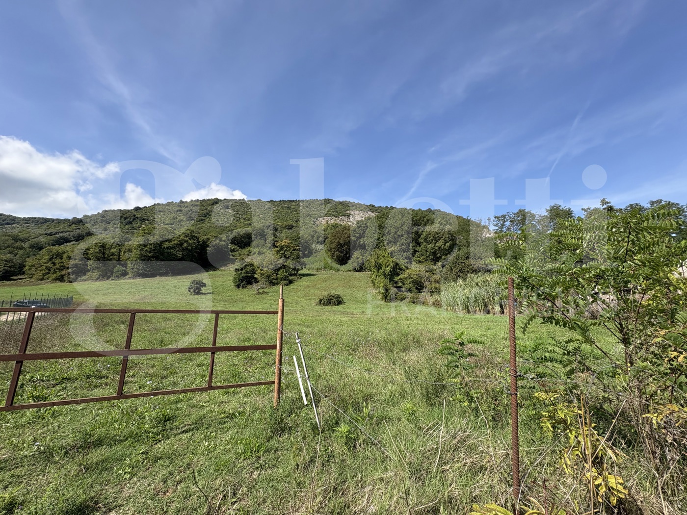 Terreno Agricolo in vendita a Segni