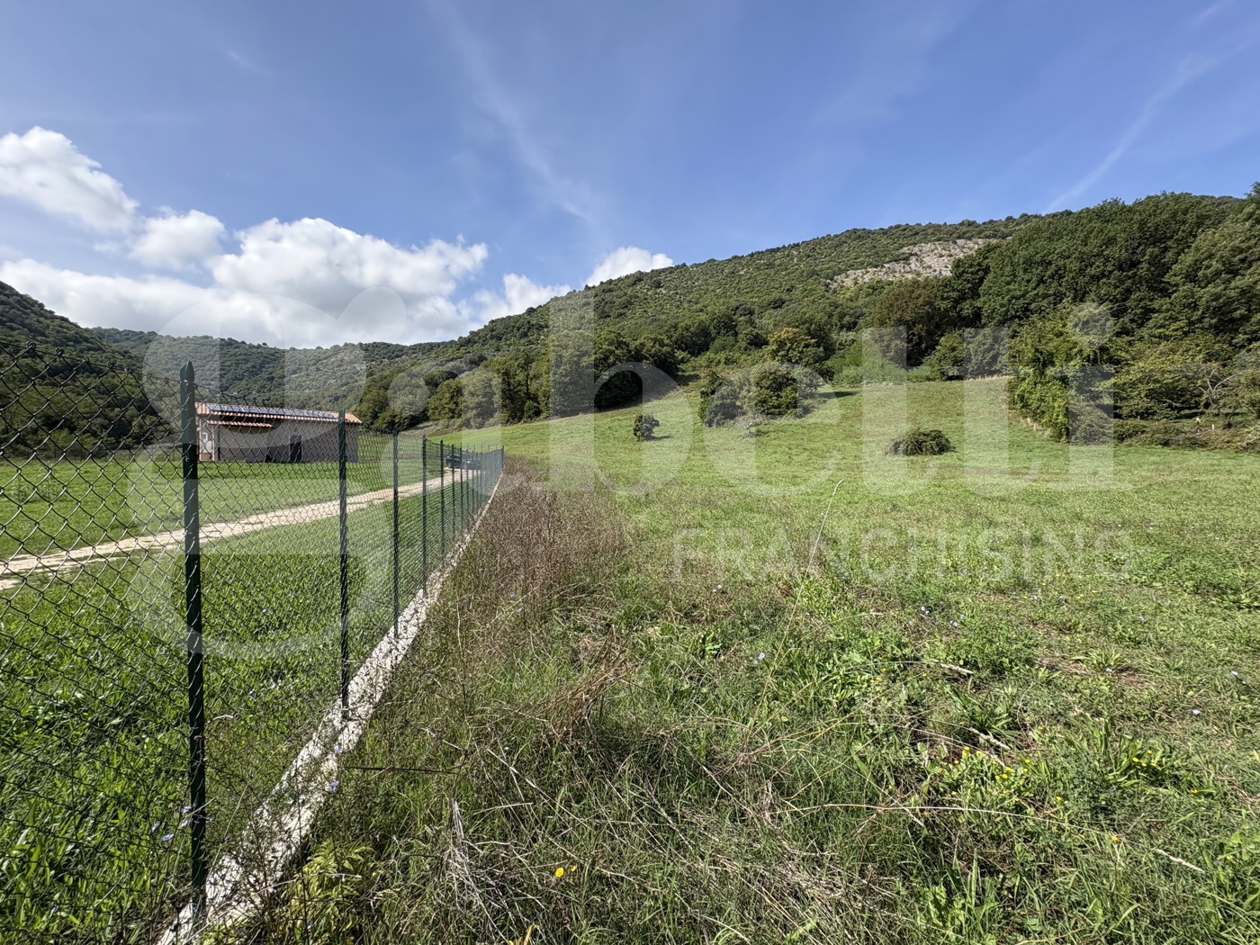 Terreno Agricolo in vendita a Segni