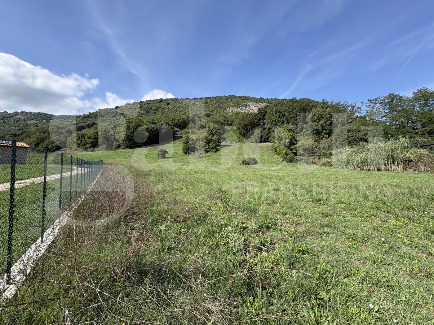 Terreno Agricolo in vendita a Segni