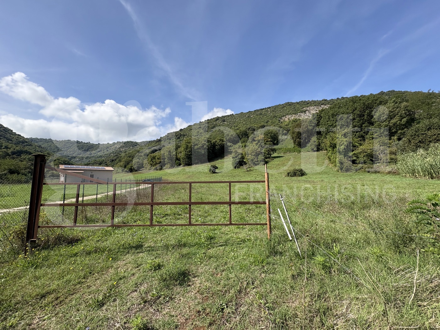 Terreno Agricolo in vendita a Segni