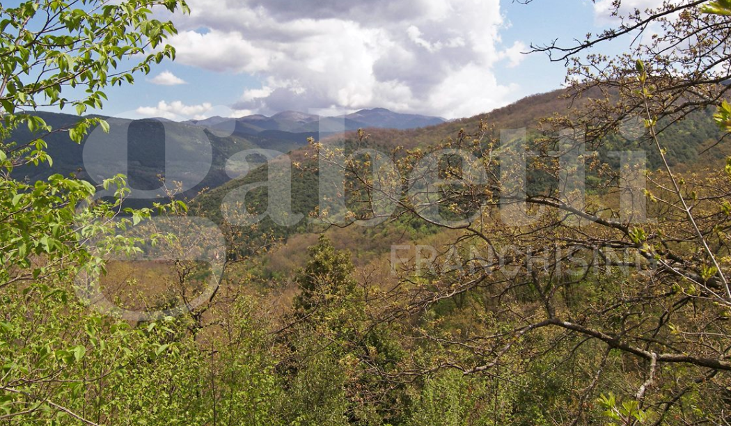 Terreno Agricolo in vendita a Montelanico