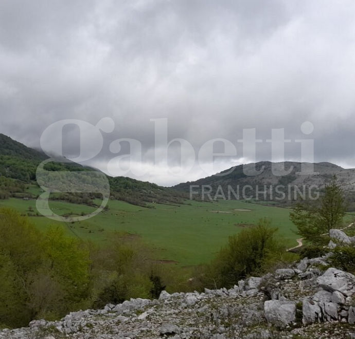 Terreno Agricolo in vendita a Montelanico