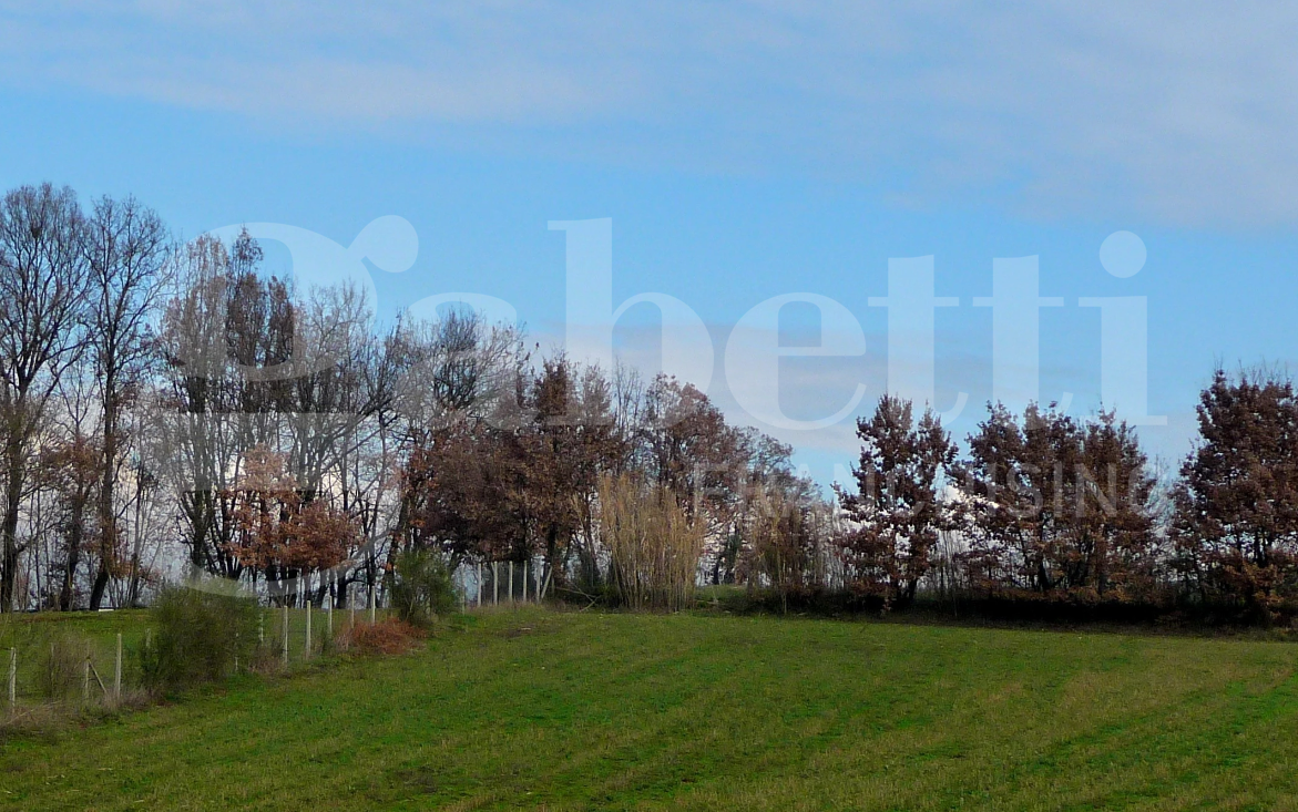 Terreno Agricolo in vendita a Montelanico
