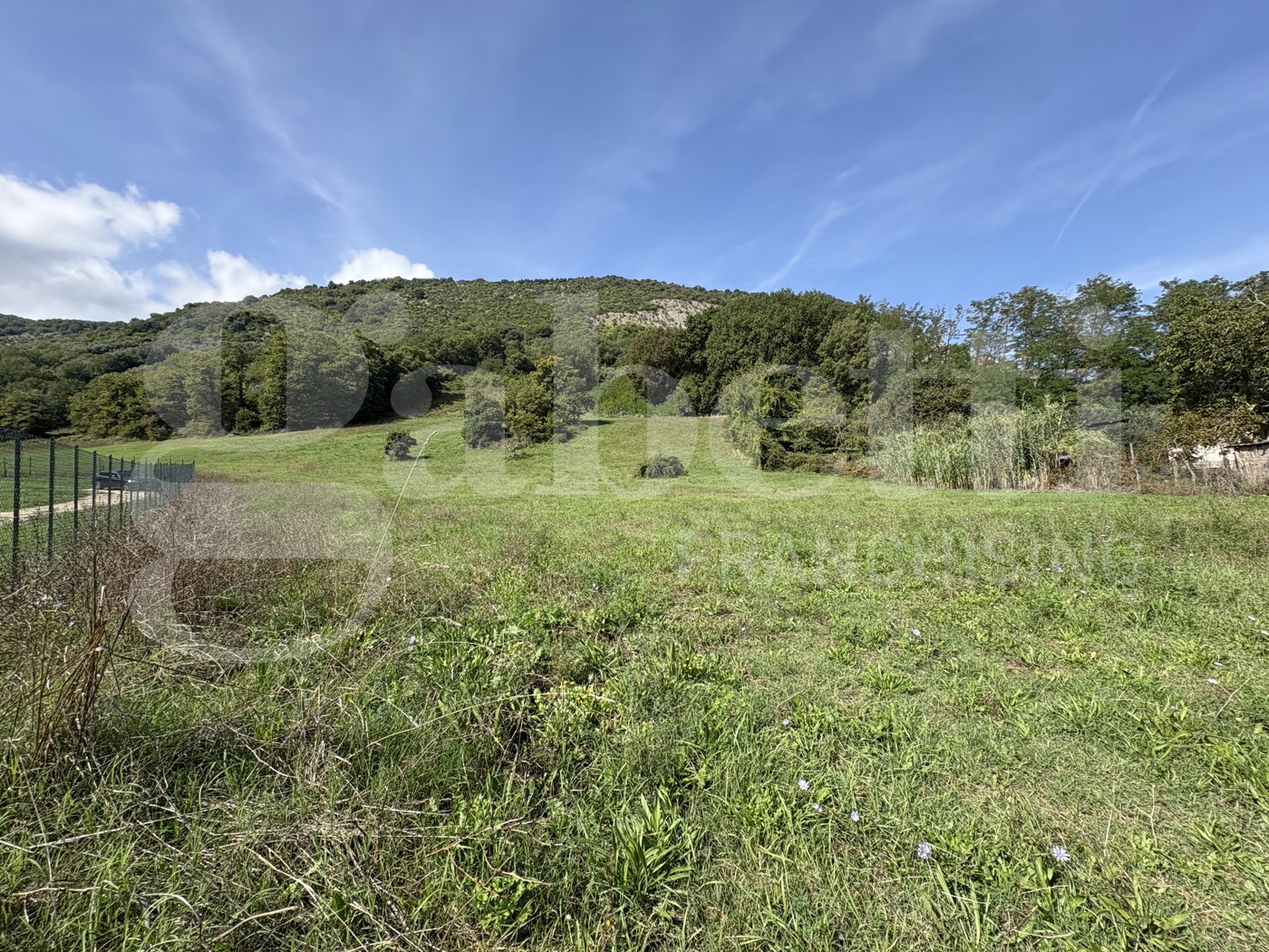 Terreno Agricolo in vendita a Montelanico