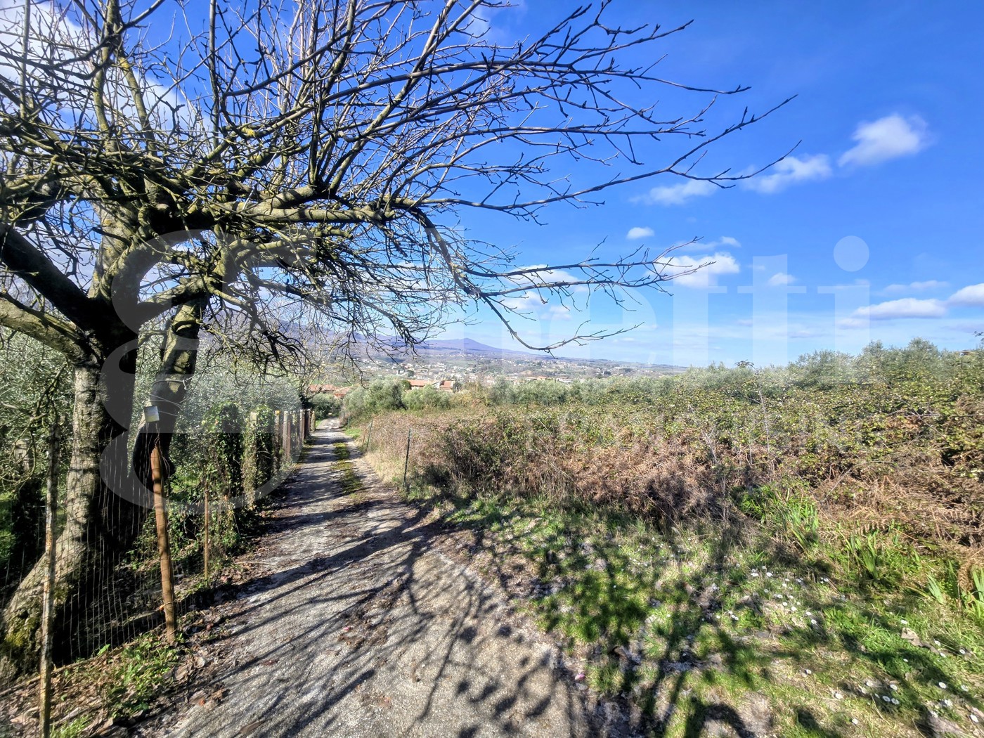 Rustico da ristrutturare a Artena