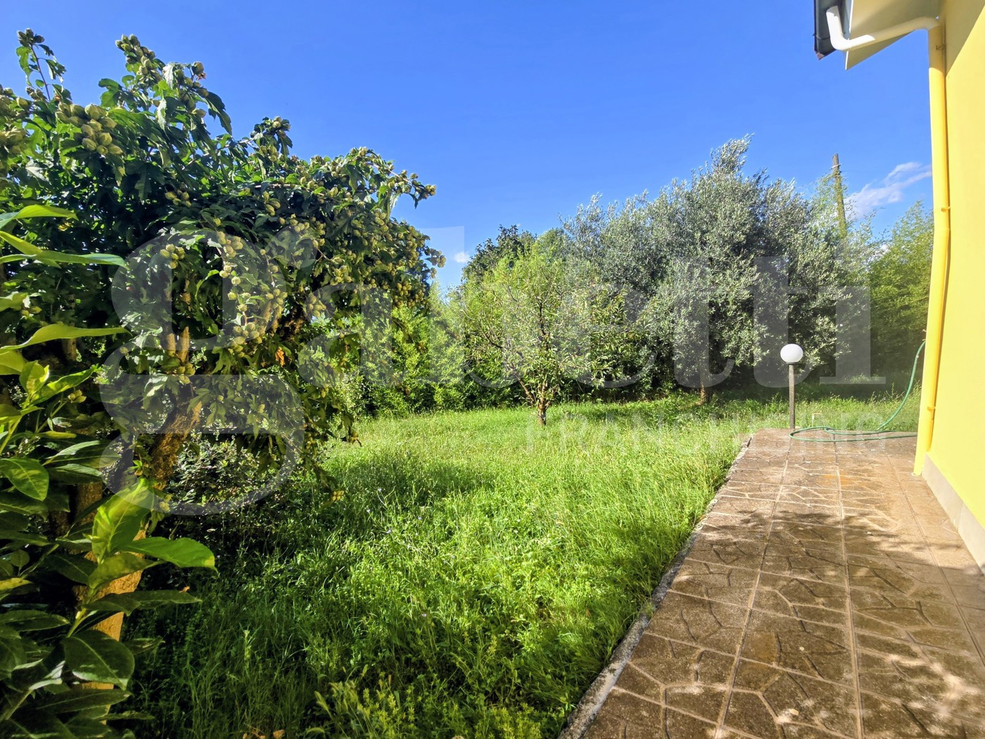 Villa con giardino a Paliano