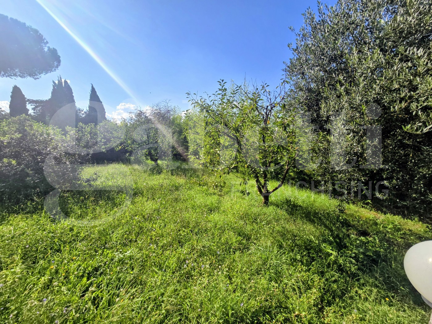 Villa con giardino a Paliano