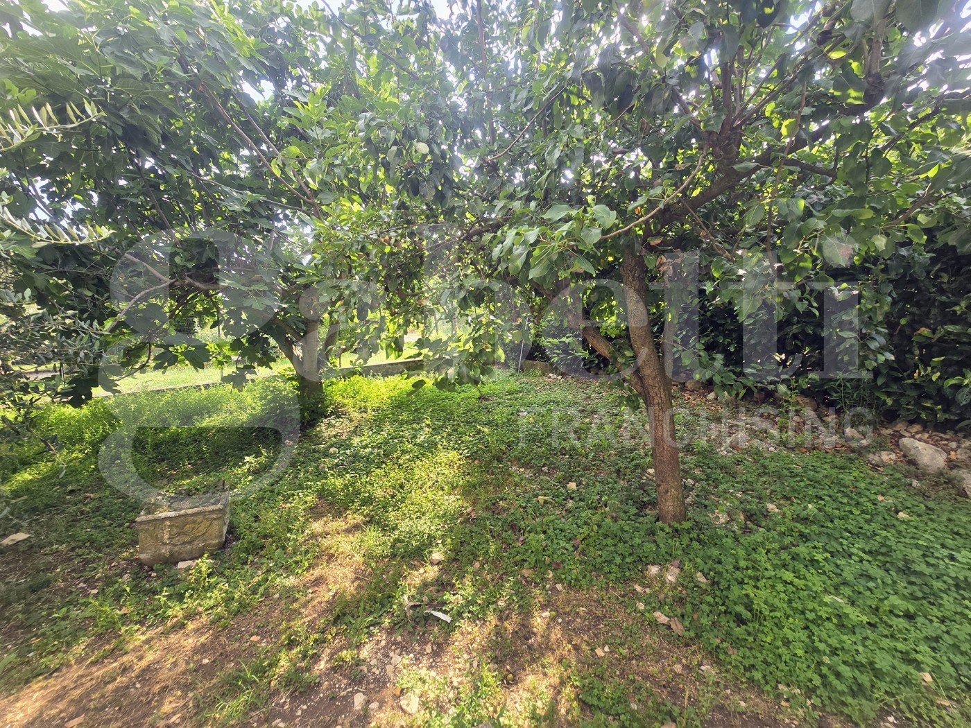 Villa con giardino a Piglio