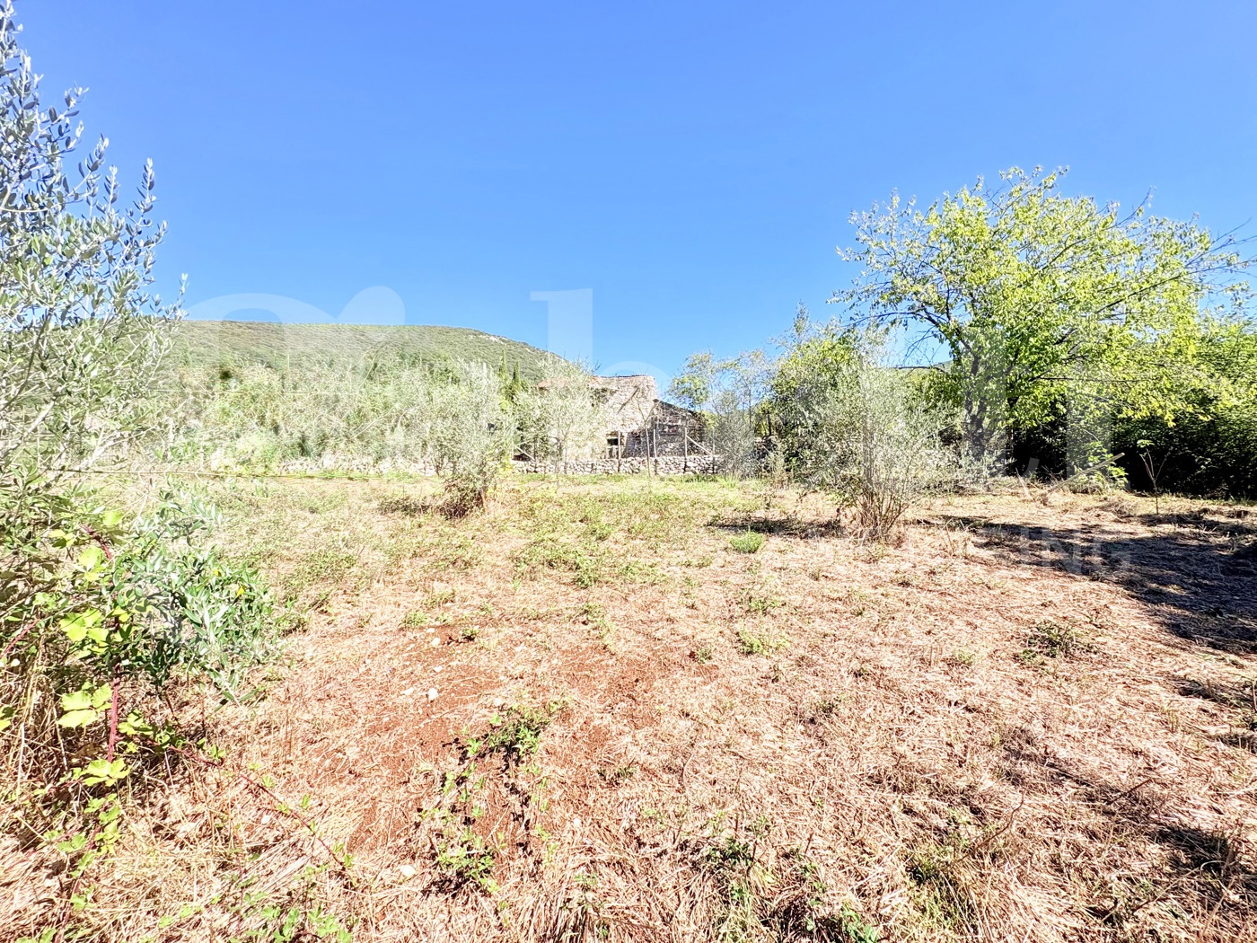 Rustico con giardino a Carpineto Romano