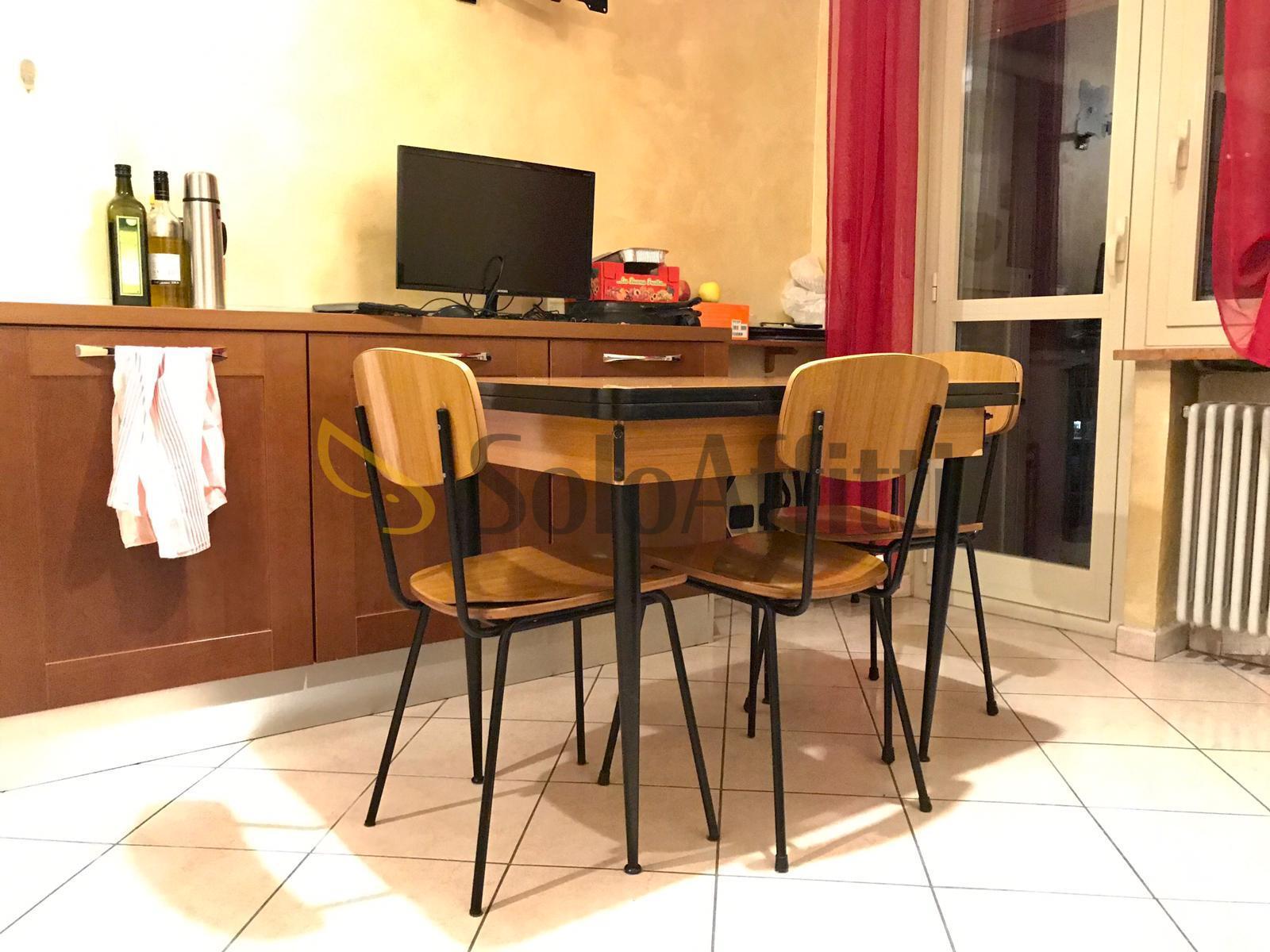 Bilocale in affitto in via valentino carrera, Torino