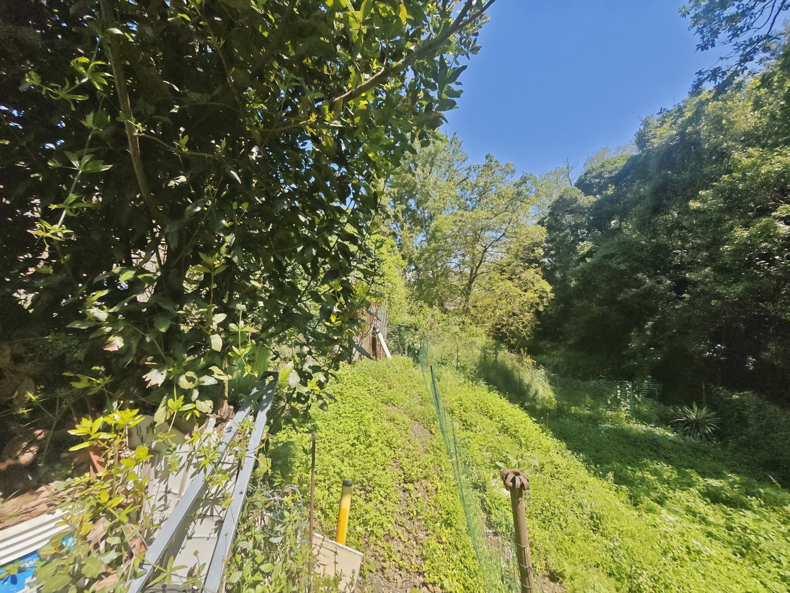 Casa indipendente con giardino in via giuseppe garibaldi 21, Arcola