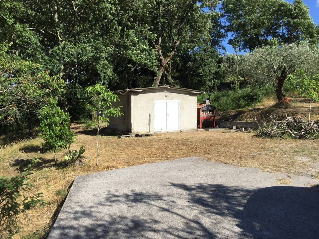 immagine annuncio 5 di 6