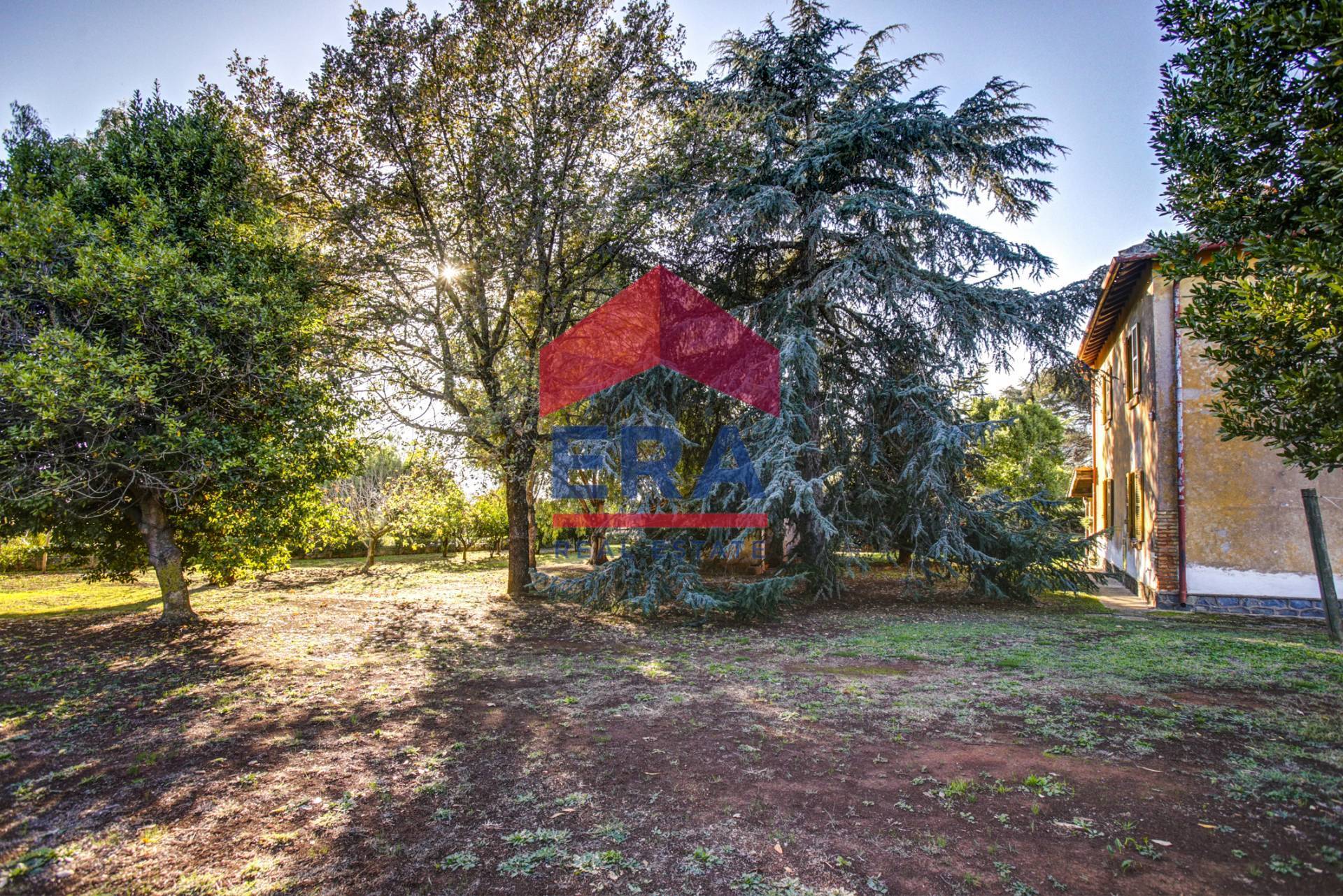 Cascina/Casale in vendita a Pomezia