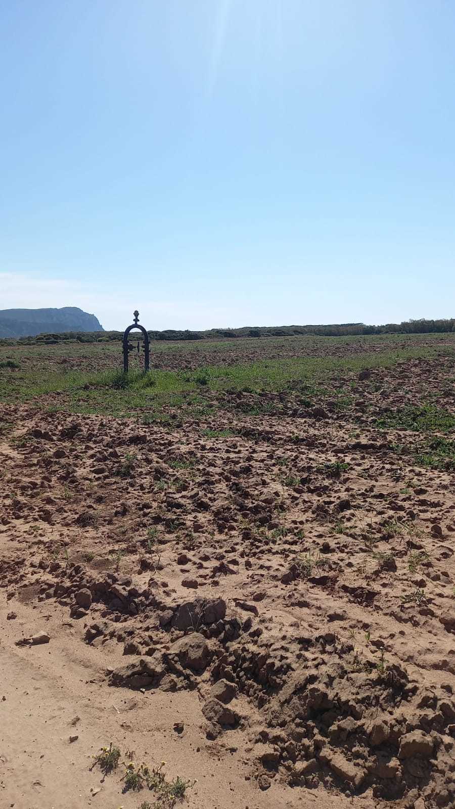 Terreno Agricolo in vendita a Sassari