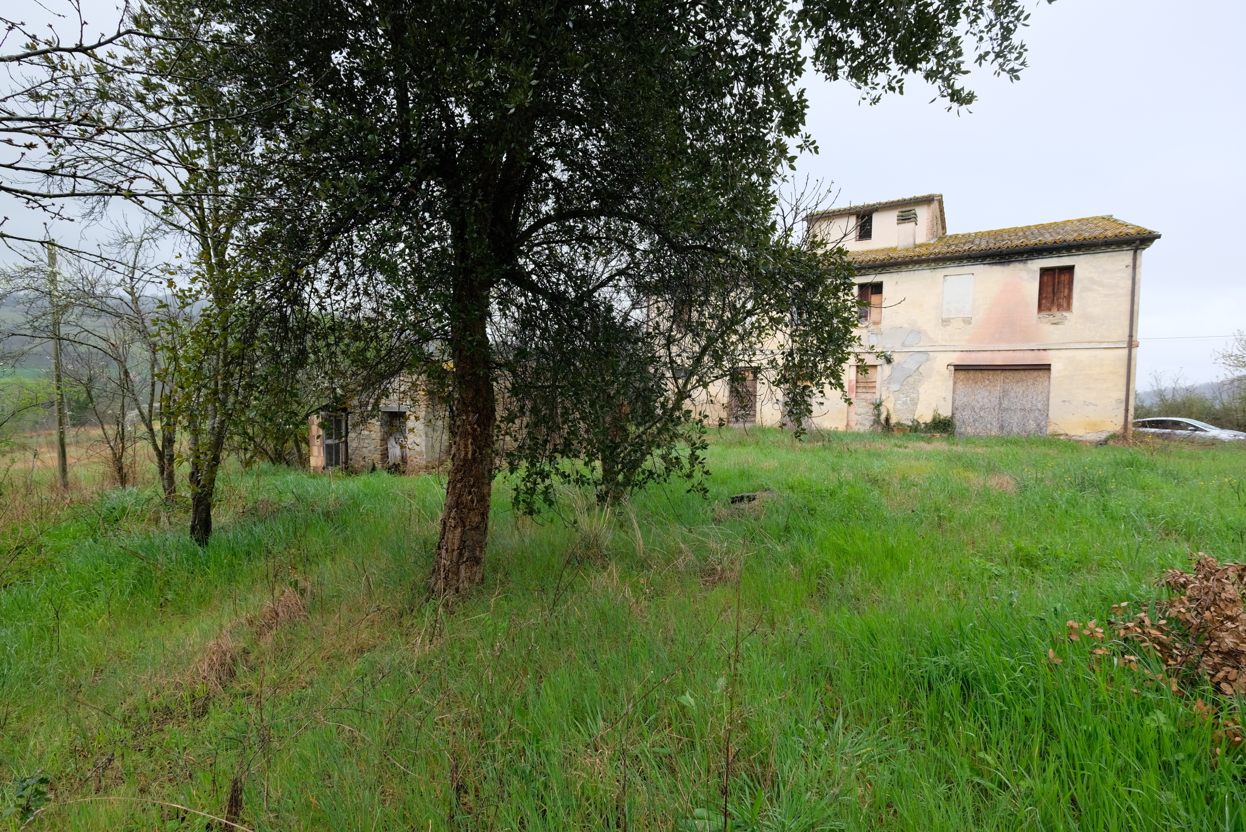 Terreno Agricolo in vendita in contrada salerna 129, Cupramontana