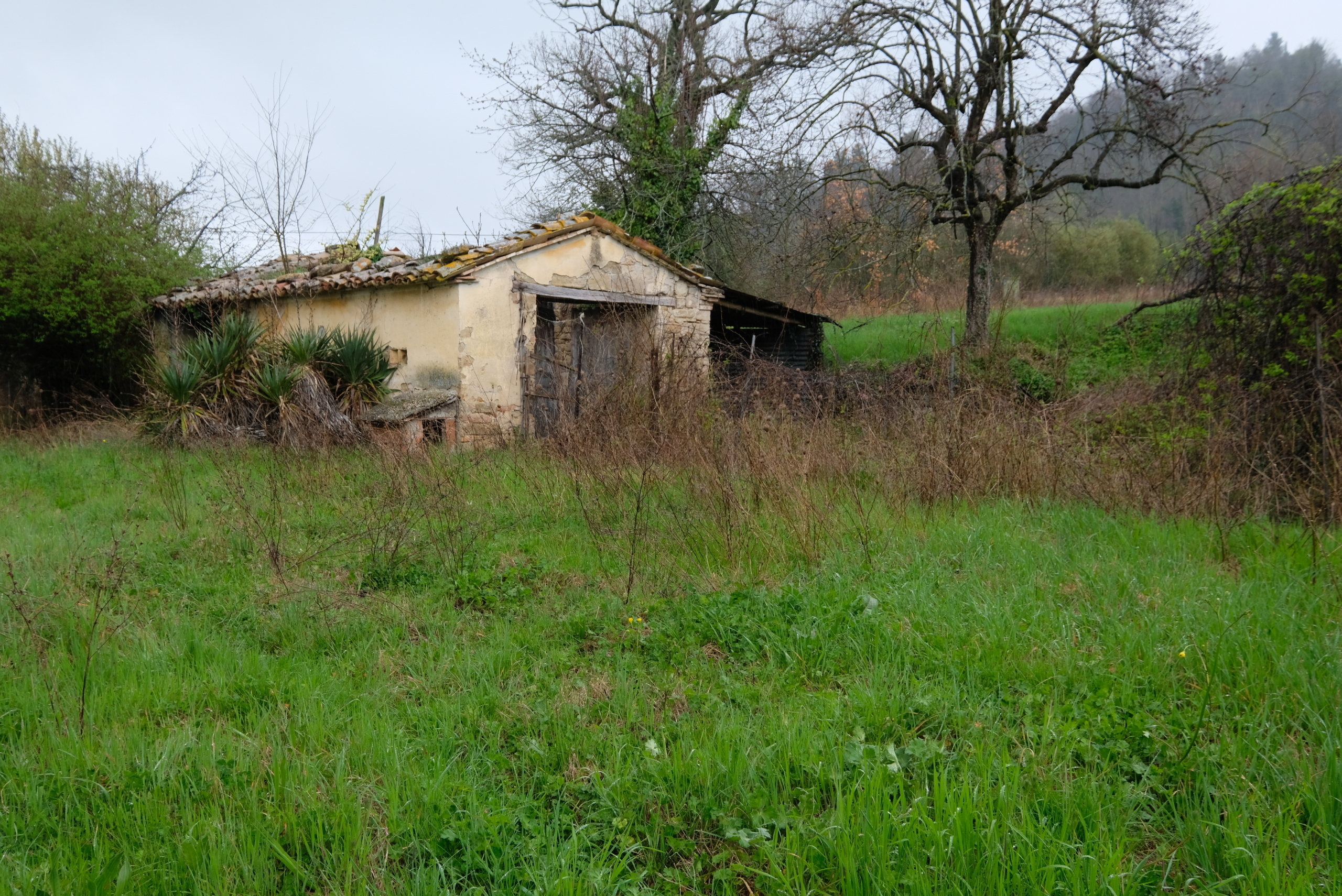 Terreno Agricolo in vendita in contrada salerna 129, Cupramontana