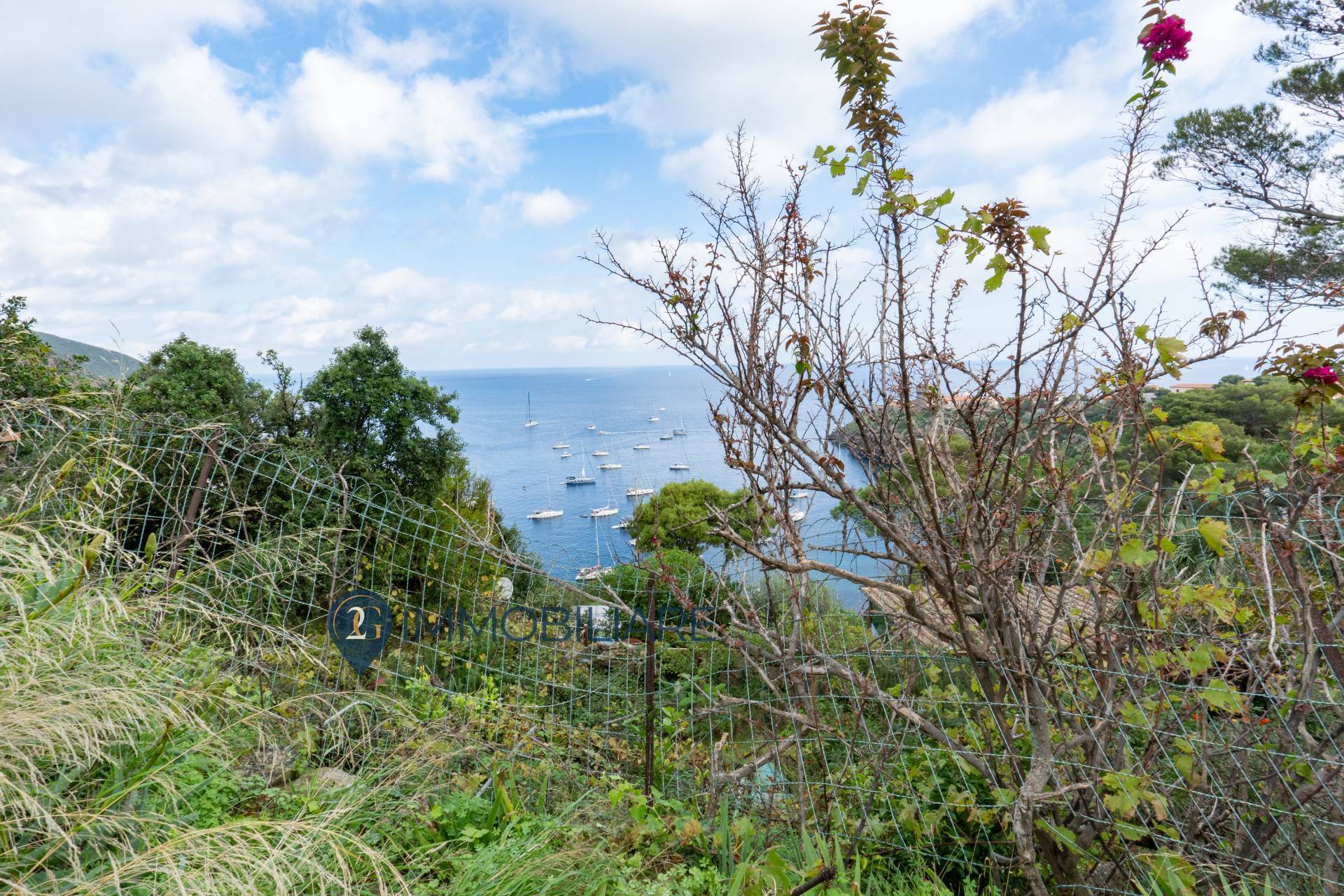 Villa in vendita a Capraia Isola